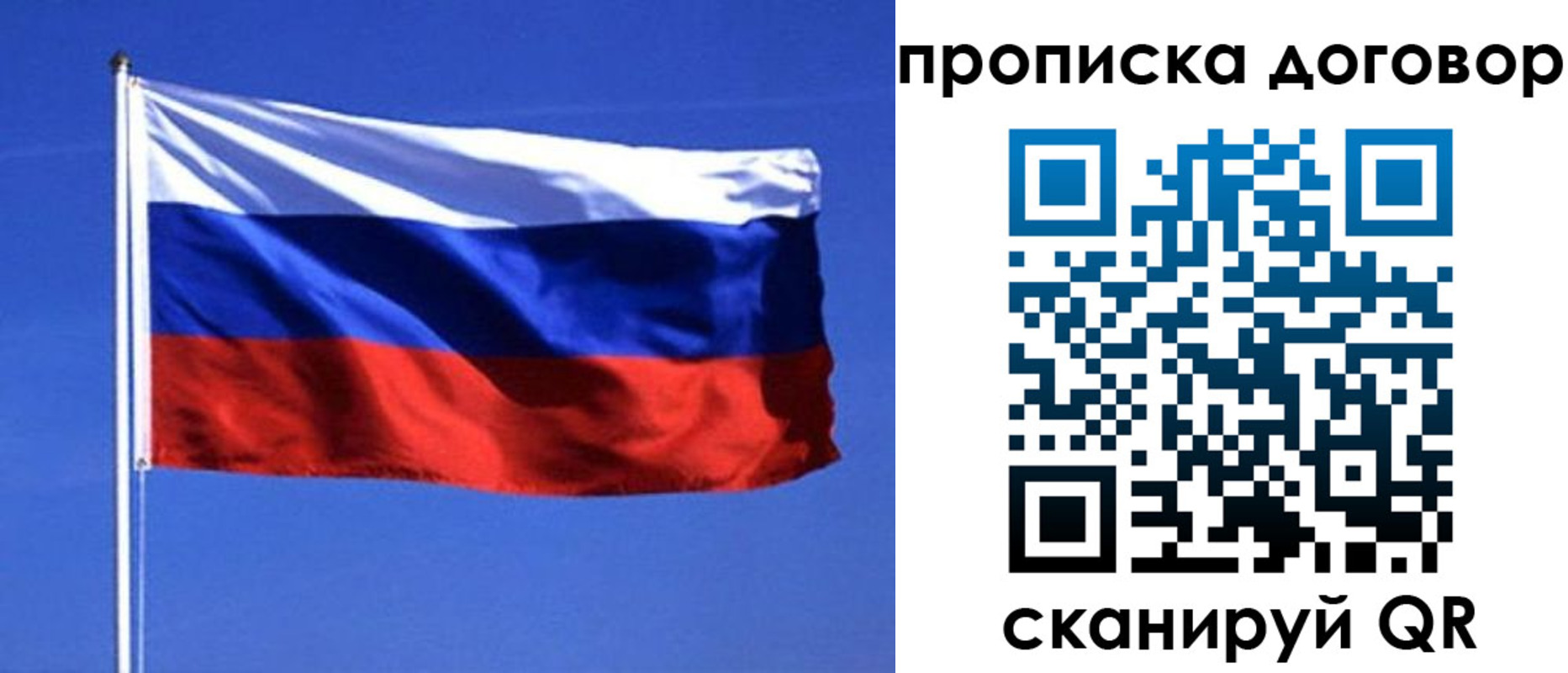прописка поиск в Белёве